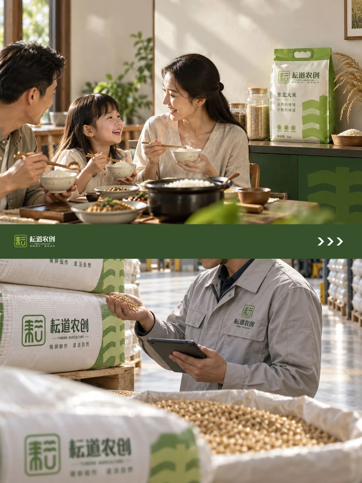Yundao Agriculture · Yundao Agriculture design illustration
