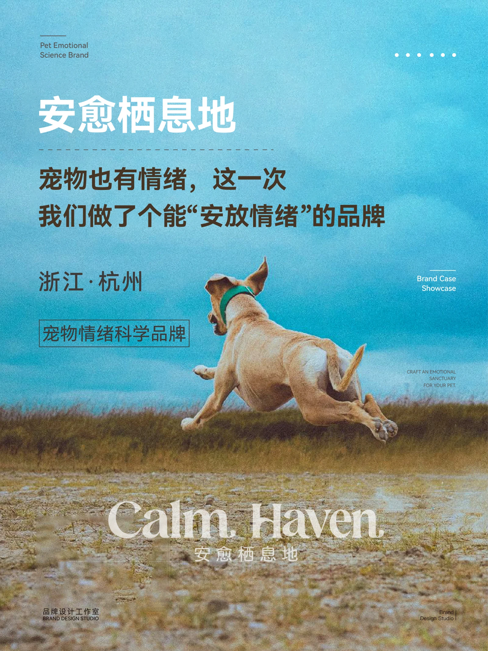 安愈栖息地 · 安愈栖息地 · 设计展示
