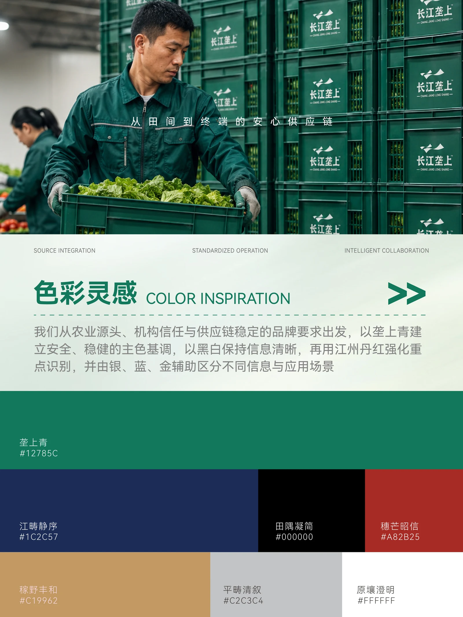 长江垄上 · 长江垄上 · 设计展示