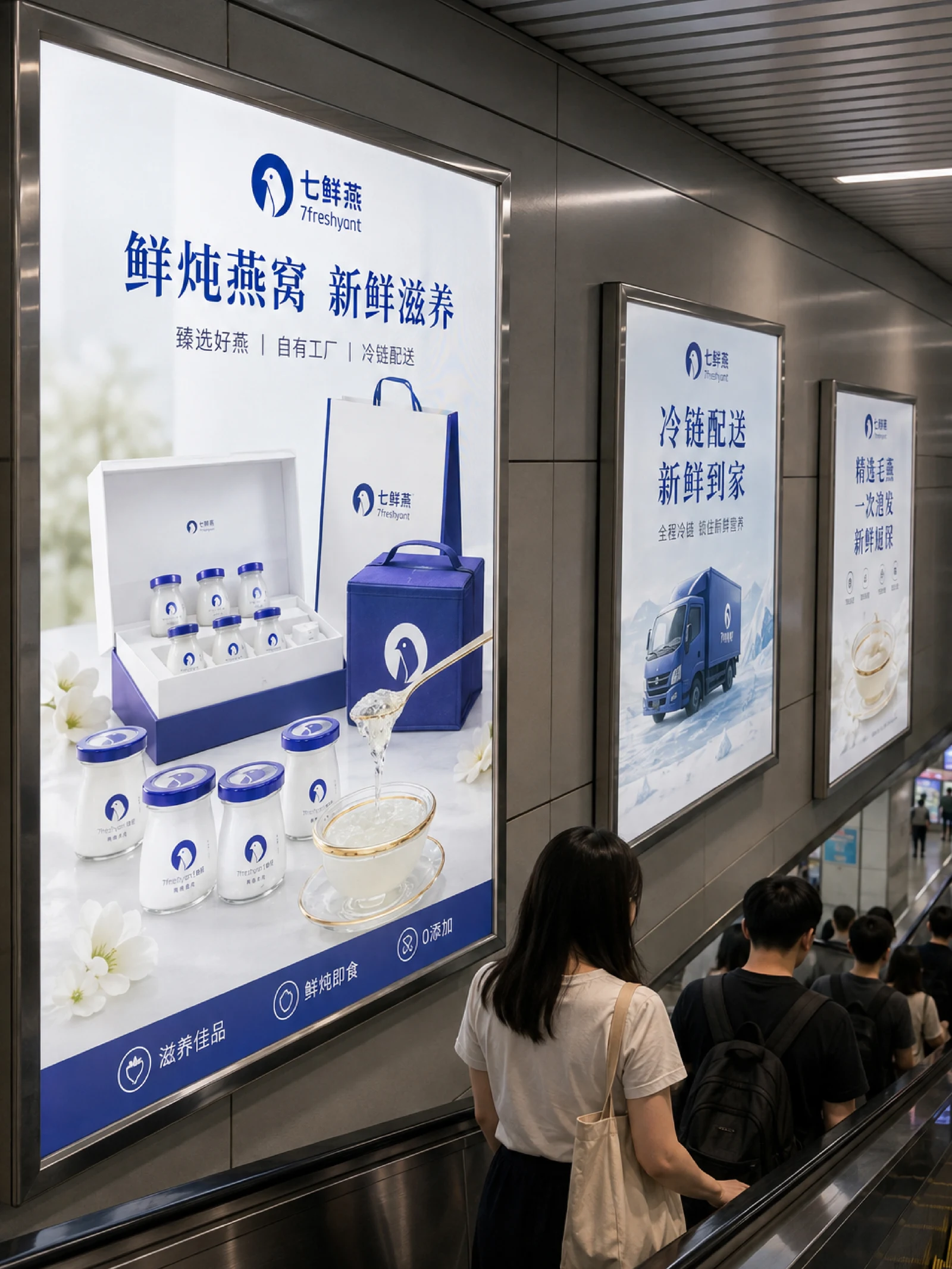 七鲜燕 · 七鲜燕 · 设计展示