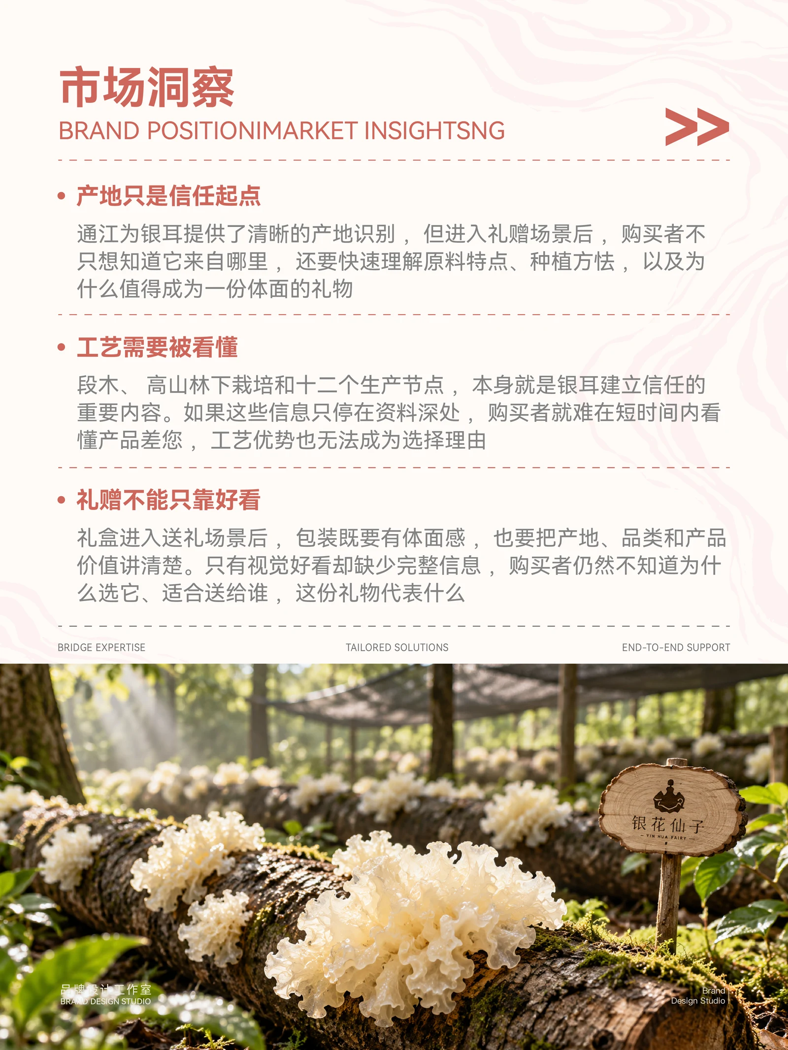 银花仙子 · 银花仙子 · 设计展示