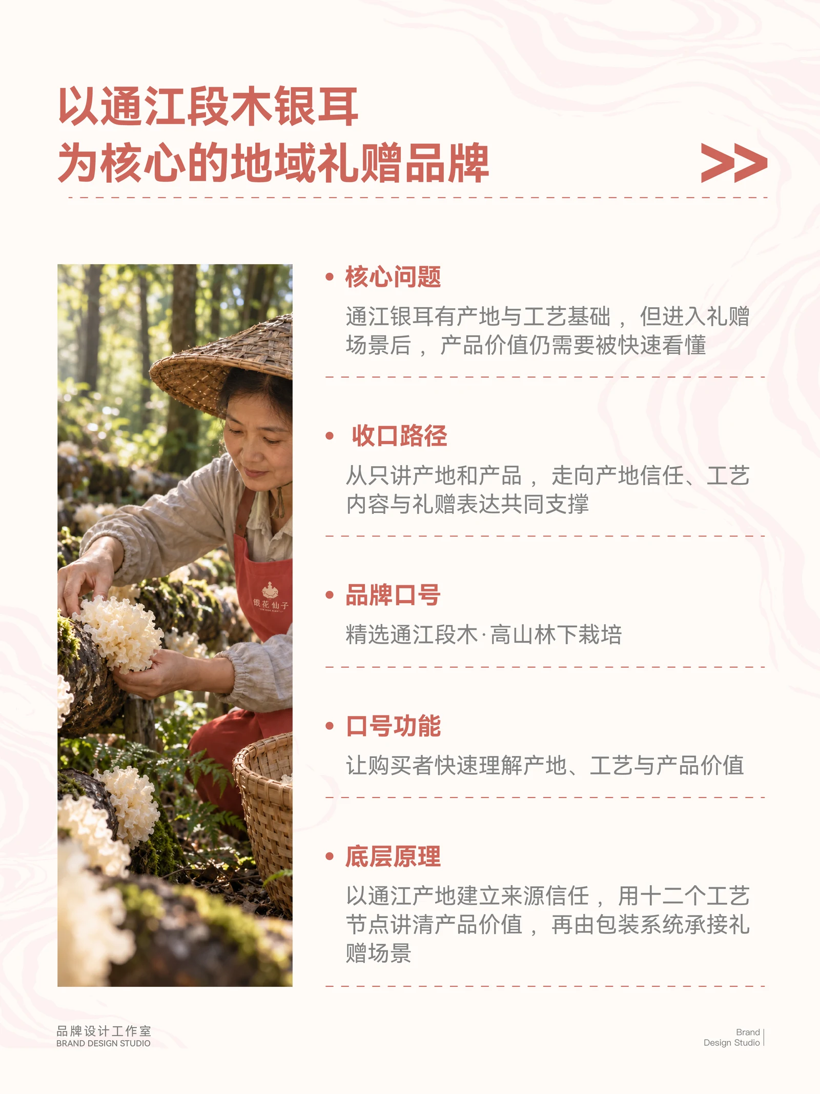 银花仙子 · 银花仙子 · 设计展示