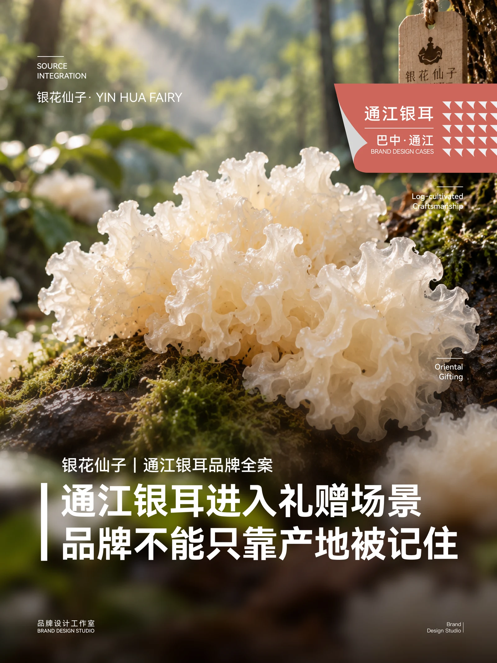 银花仙子 · 银花仙子 · 设计展示