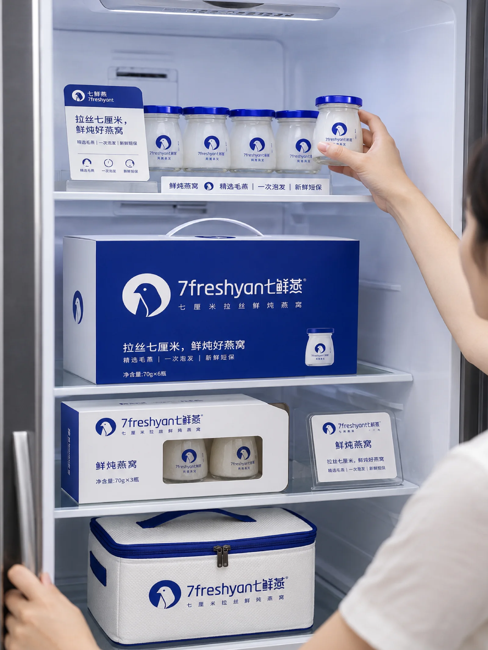 七鲜燕 冰箱产品陈列设计